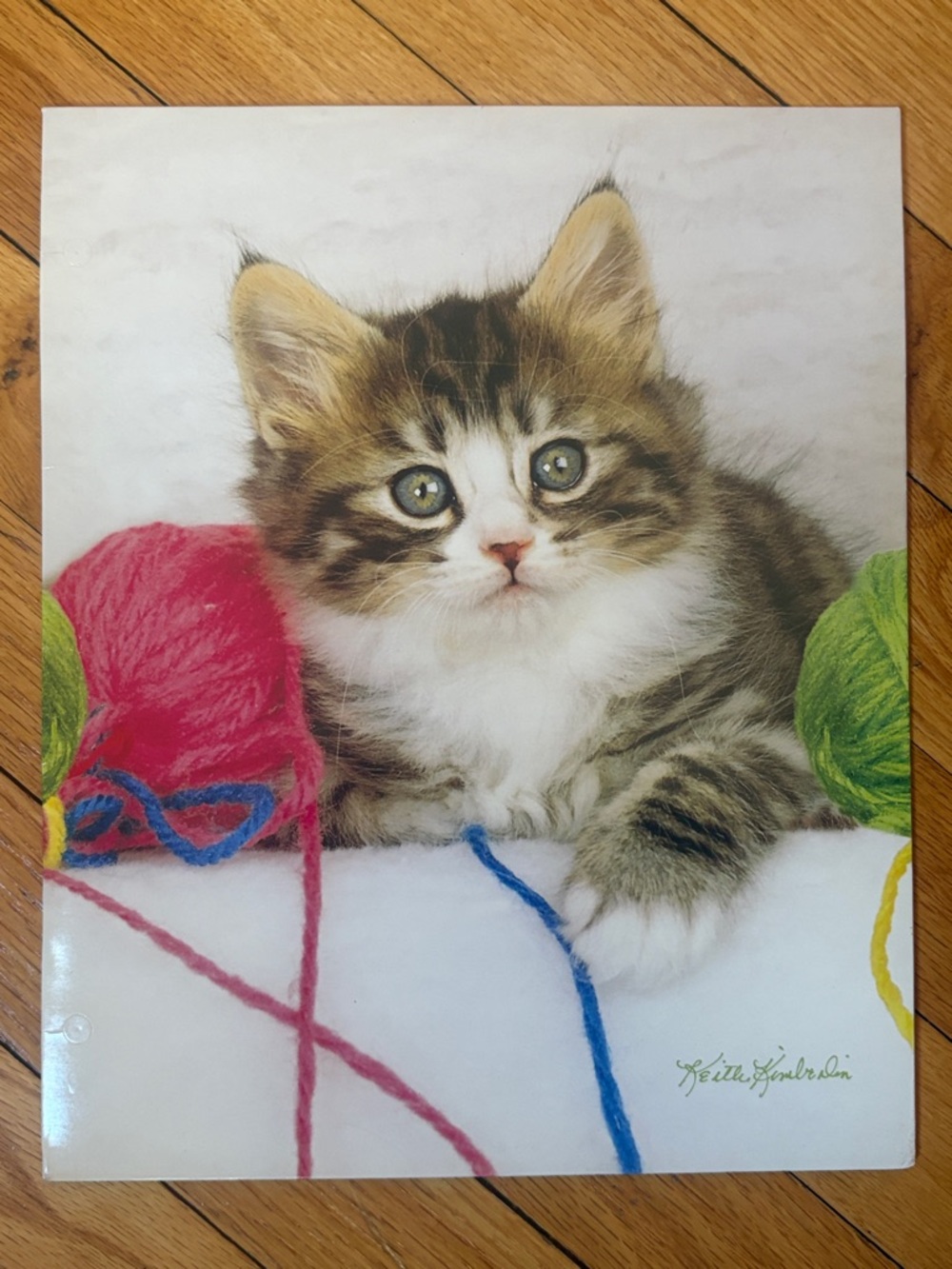 2010 Class Act Keith Kimberlin Kittens Playing with Yarn Cat Folder Home Office